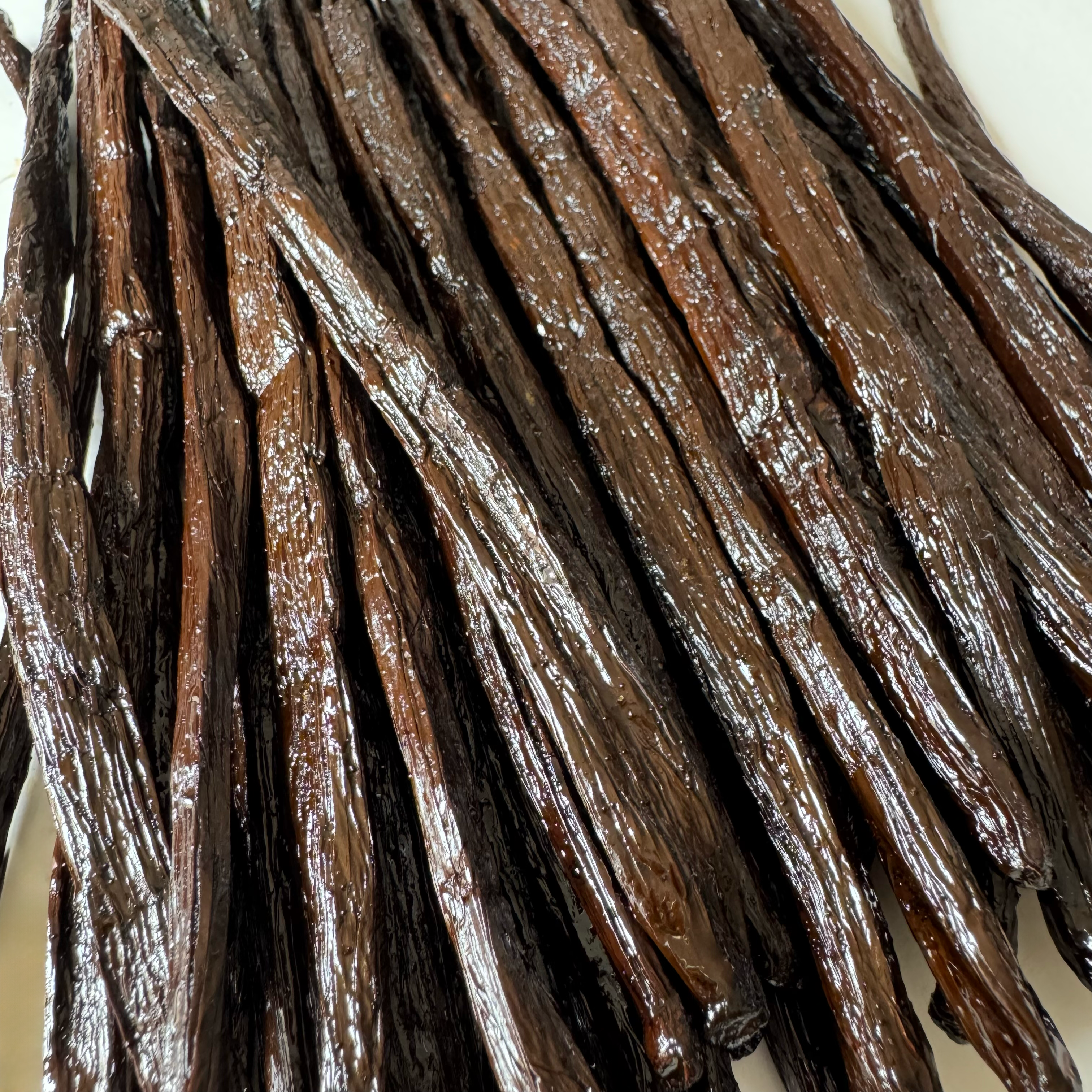 gousses de vanille bourbon de Madagascar